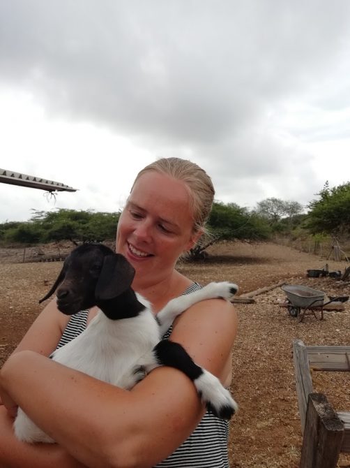 Familiereis Bonaire